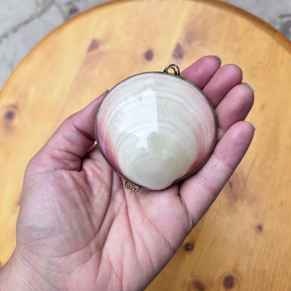 Vintage Clam Shell Trinket Box Brass Rim Small Pink White Sea Shell Ring Case 3"